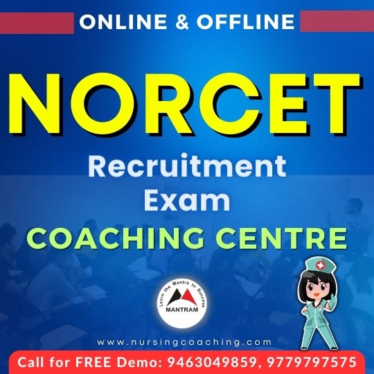 norcet coaching in haryana