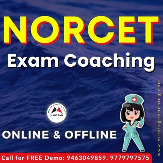 norcet coaching in hisar haryana