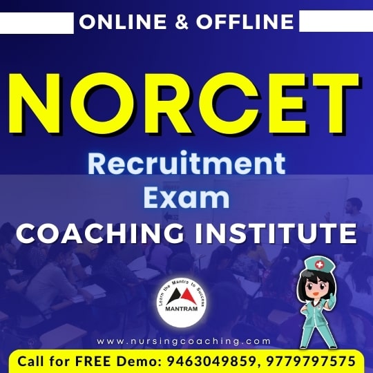 norcet coaching in rajasthan