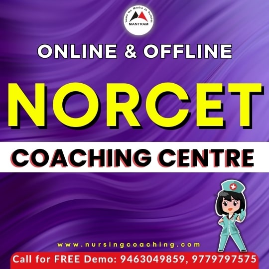 norcet coaching in rohtak haryana